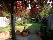 Long narrow family garden... how to stop it looking like a green corridor