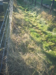 To just ask you all to either wear some proper wellies and walk on the footpath, or stick to the sodding pavements