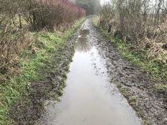Running Thread 16