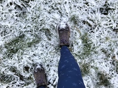 Running Thread 16