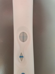 🐧 Penguin Huddle 🐧 Thread 36 - TTC after pregnancy loss