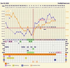 Tracking your cycle and possible BFP using RHR - part 5