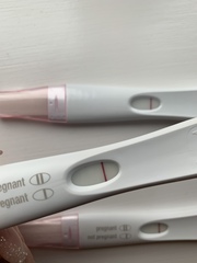 Support thread for women who are pregnant or TTC following a termination for abnormalities. Thread 7