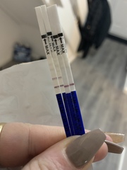 Could this be it?