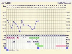 9DPO Symptom Spotting
