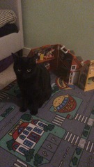 ADs and their gratuitous pussy pictures