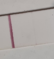 Is this an evap or faint line..:/
