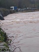 Frugal Friends Forging Forward Toward February and Further Financial Freedom