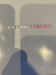 Testing after mc- evap line or not ??