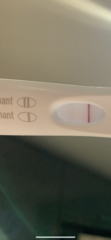 PLEASE HELP!
