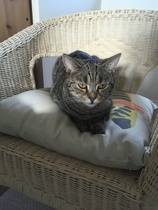 What are you wearing today? Winter 2020