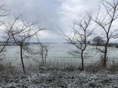Running Thread 16