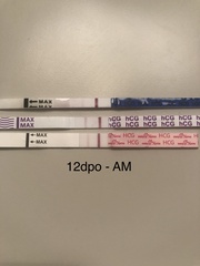 Is this a good bfp?