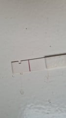 Is this an evap or faint line..:/