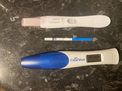 Pregnant test