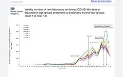 Data, Stats & Daily Numbers started 28th Jan