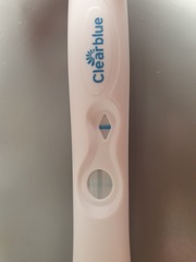 🐧 Penguin Huddle 🐧 Thread 36 - TTC after pregnancy loss