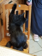What's your DCat up to today? (Thread 8)