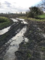 Running Thread 16
