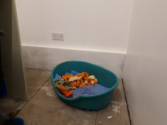 Where is your kitchen sink?