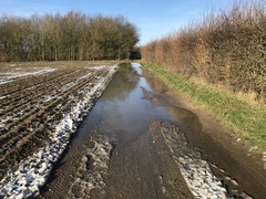 Running Thread 16