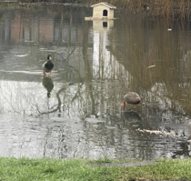 NOT what I expected to wake up to this morning...