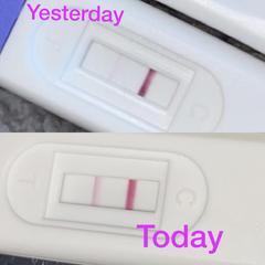 Is this a good bfp?