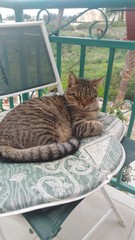 What's your DCat up to today? (Thread 8)