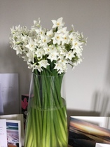 Have you ever received a M&S flower delivery? 🌺