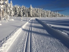 Swagger Inn 168 - New Year, New Thread - same Tavern