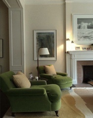 Please help me choose a new sofa and rug