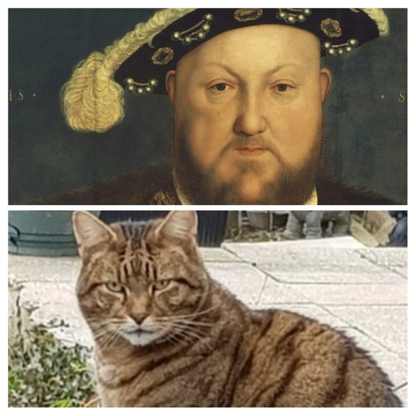 Thug cat part 3.  Unbidden guests are often welcomest when they are gone.
