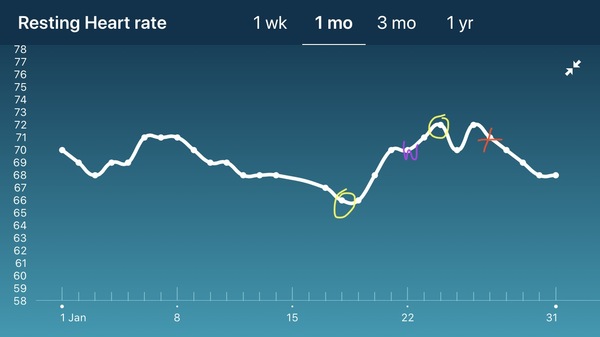 Tracking your cycle and possible BFP using RHR - part 5