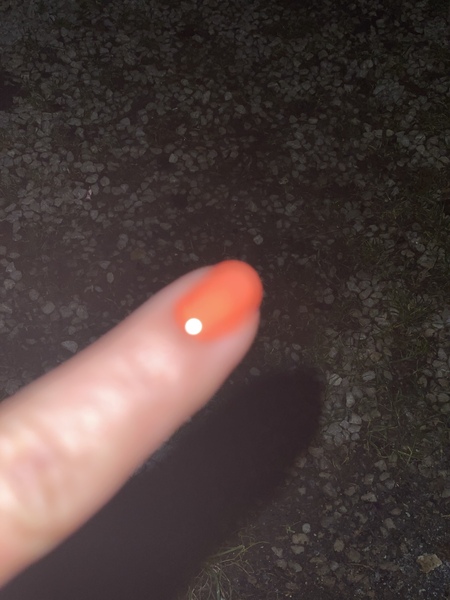 Week 6  Low CarbBootcamp - the second half