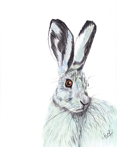 Art Prints vs Original Drawing - Pricing