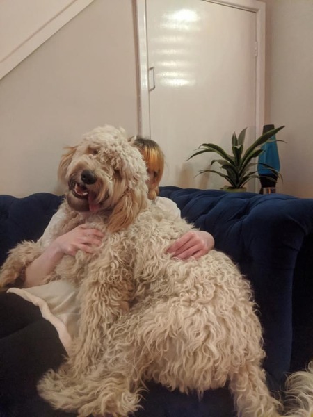 Best dog names you've ever come across