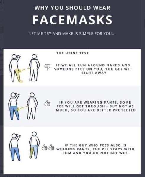 How often does a face mask stop a virus?