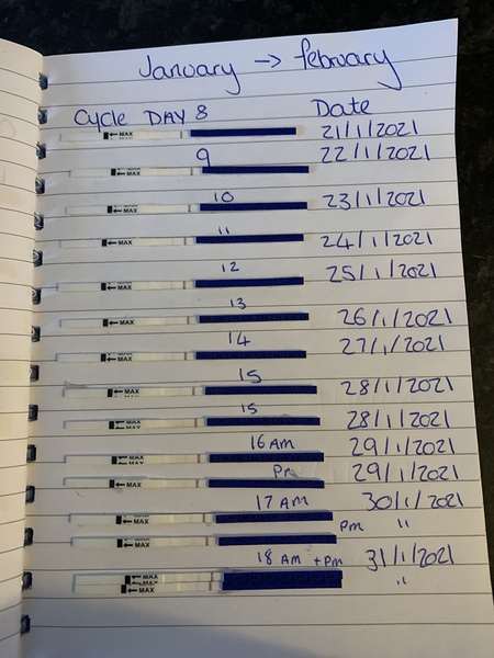 Ttc after miscarriage with under active thyroid