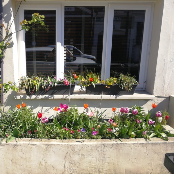 Small front garden inspiration