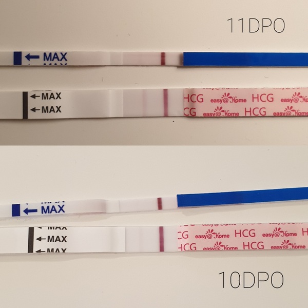 Impatient TTC - Thread 3..or 4?