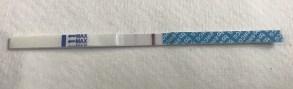 Ovulation due 27th January / Period due 10th February