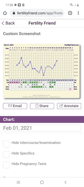 BBT chart advice?