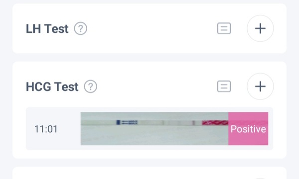 Femometer cheapie : is this a BFP??