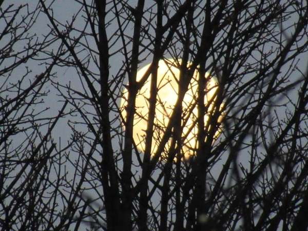 Any Witches here? Part 13