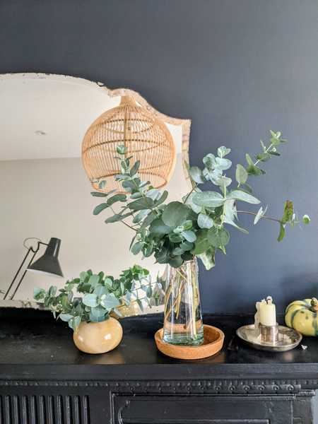 *PICS* Complete novice with a blank slate garden