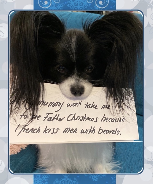 Tell me about your dog's quirks