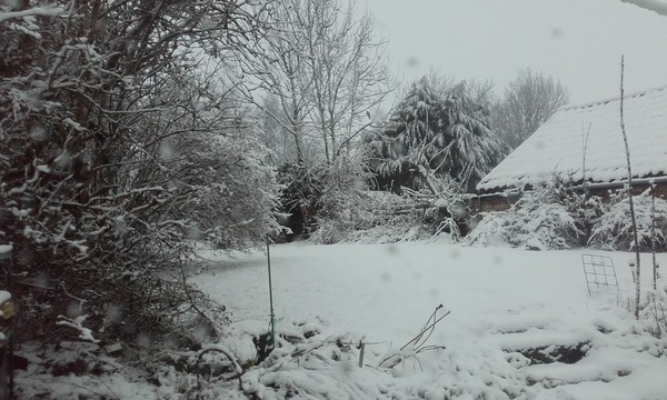 Any Witches here? Part 13