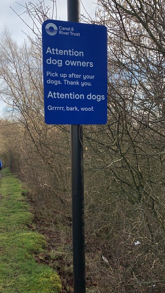 Intelligent Lancashire dogs