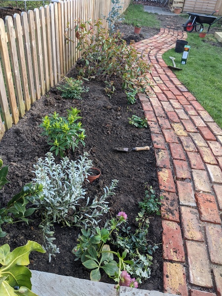 *PICS* Complete novice with a blank slate garden