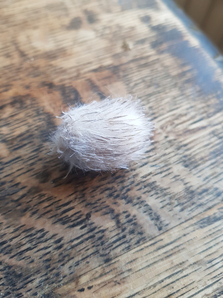 I just spent the night nursing a cushion tassel thinking it was a baby hedgehog